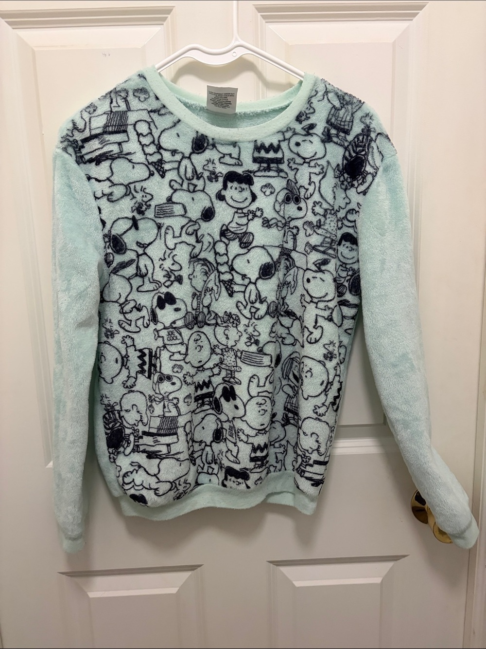 Peanuts Light Mint Crewneck Sweater with Character Print